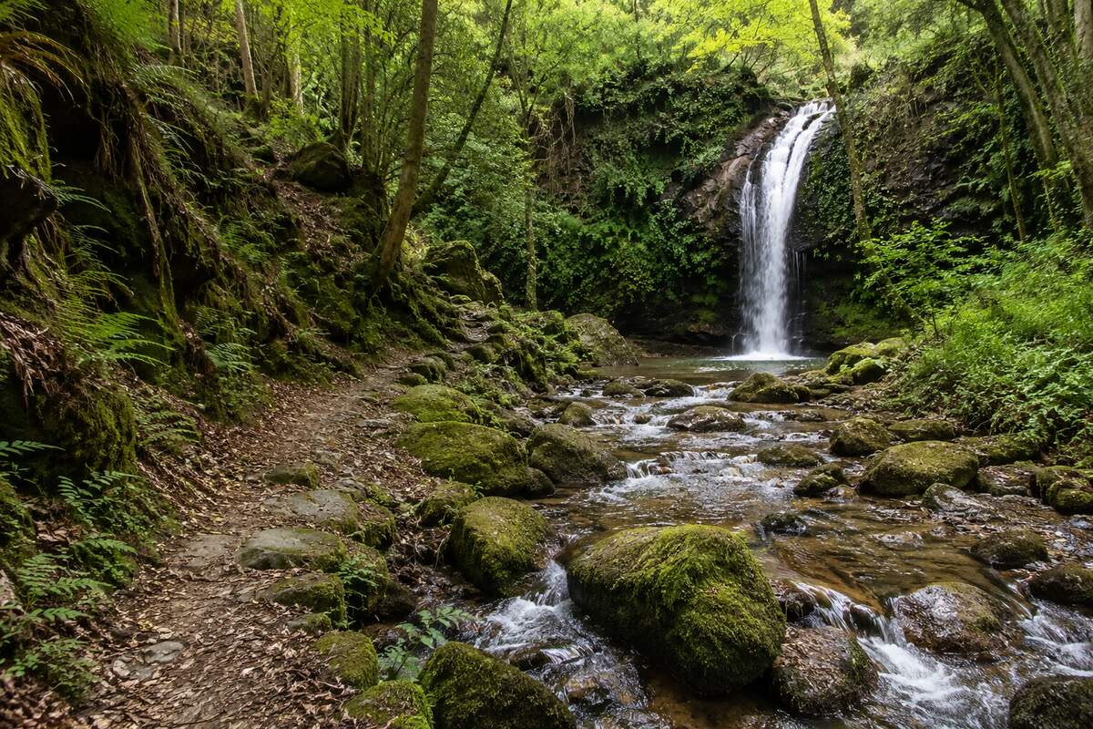 Valle del Pas · Cascadas y bosques cerca del hotel